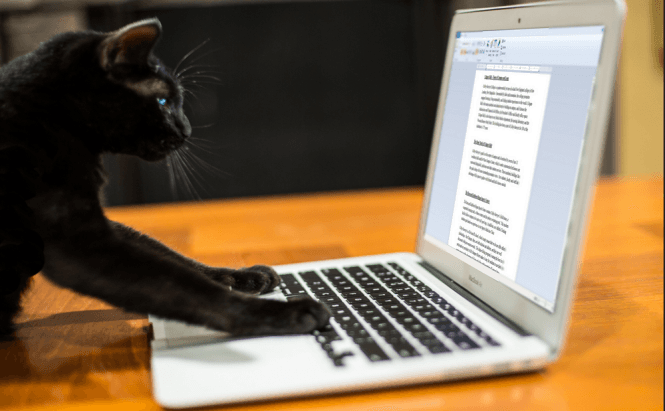 Top 7 Free Microsoft Word Alternatives