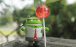 Why Android Lollipop Was Worth Waiting For