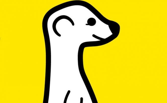 Meerkat is Now Available for Android Users