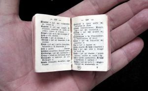 Best Online Dictionaries to Include in Your Arsenal