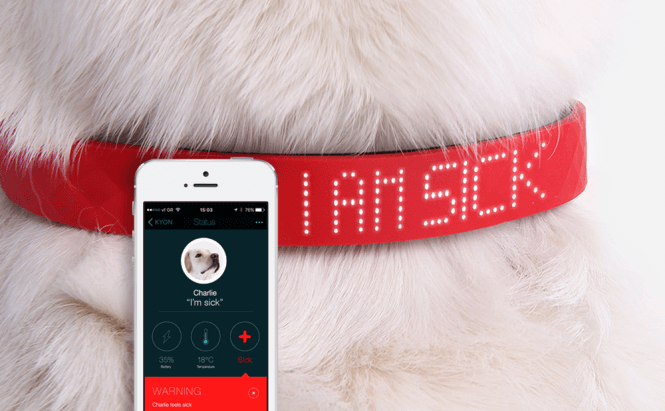 Meet Kyon, the smartest pet tracker currently on the market
