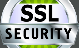 The age of encryption: All you need to know about SSL