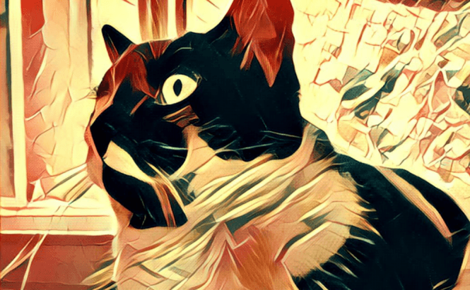 The iOS version of Prisma updated with filters for videos