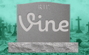 Hurry up and download your Vine videos while you can